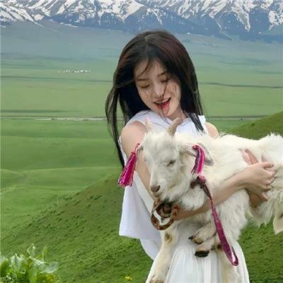 梦游交易所